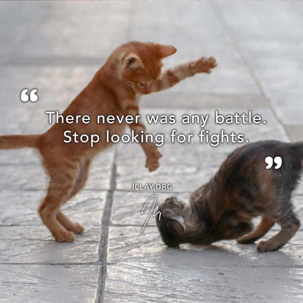 two cute baby cat kittens fighting with an inspirational jclay quote